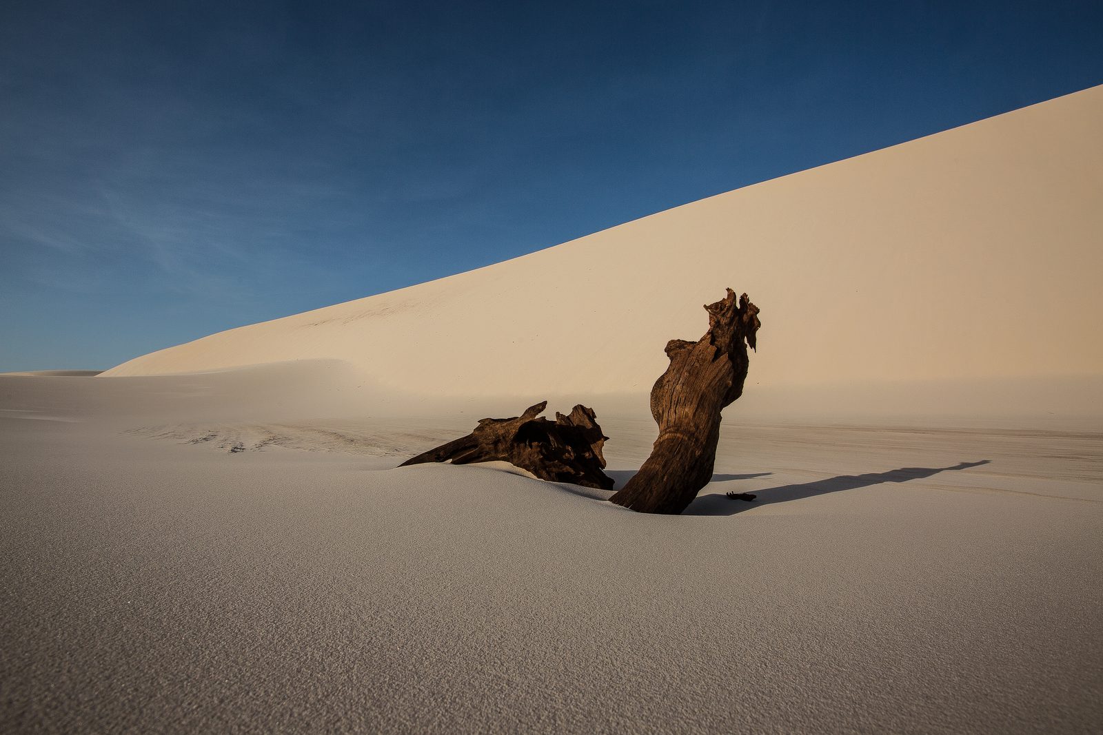Traveler sitting on the slope of a sunlit sand dune